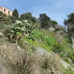 アパート Casa Delle Mimose