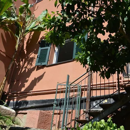 Casa Delle Mimose דירה