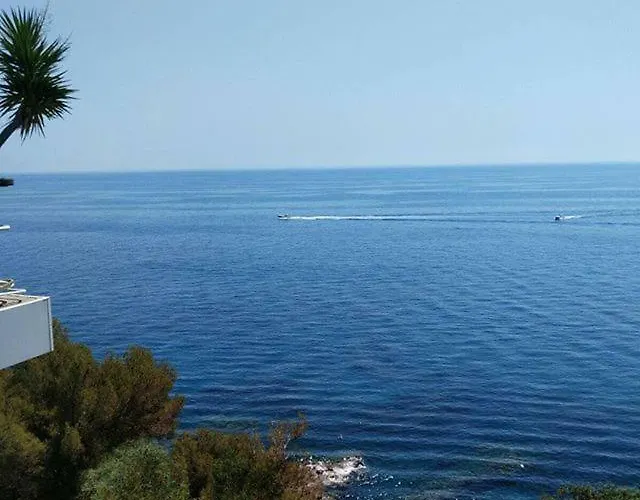 Casa Delle Mimose *