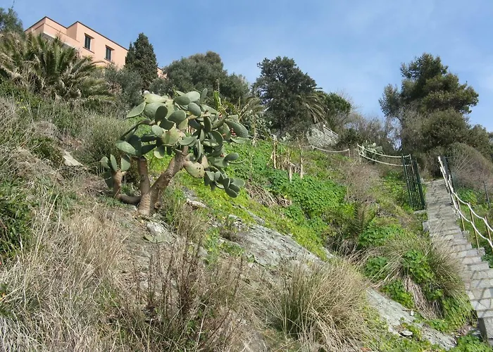 דירה Casa Delle Mimose